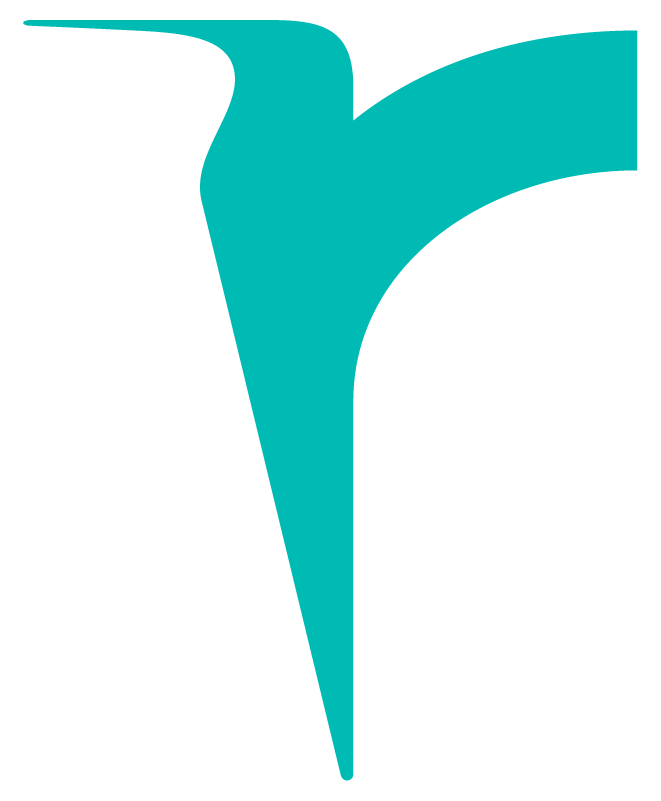 Teal stylized shape resembling a bird in profile on a white background.